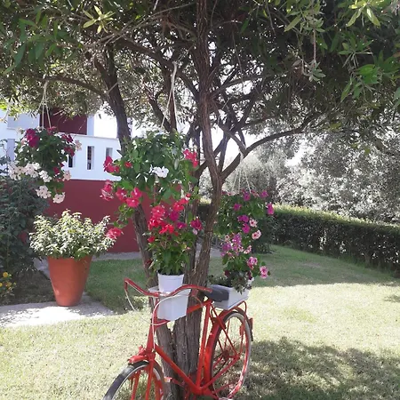Family Dora Villa
