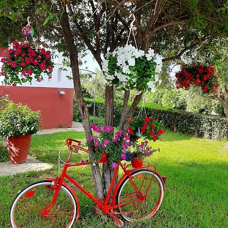 别墅 Family Dora *